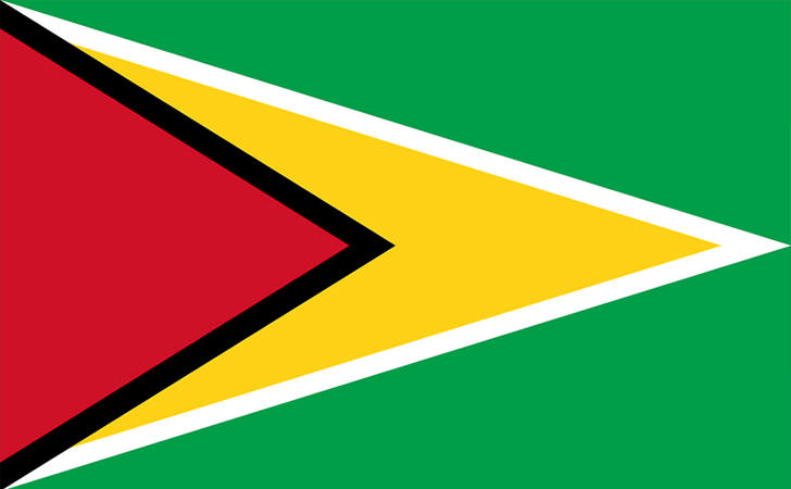 Guyana Flag