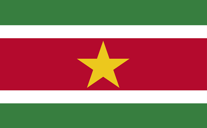 Suriname Flag